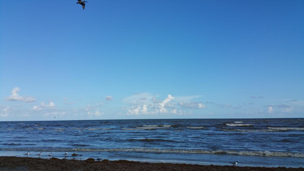 Private Beach -- Away From The Crowds - Ocean Views -Short Drive To Moody Gardens, Schlitter Bahn, Pleasure Pier Galveston Luaran gambar