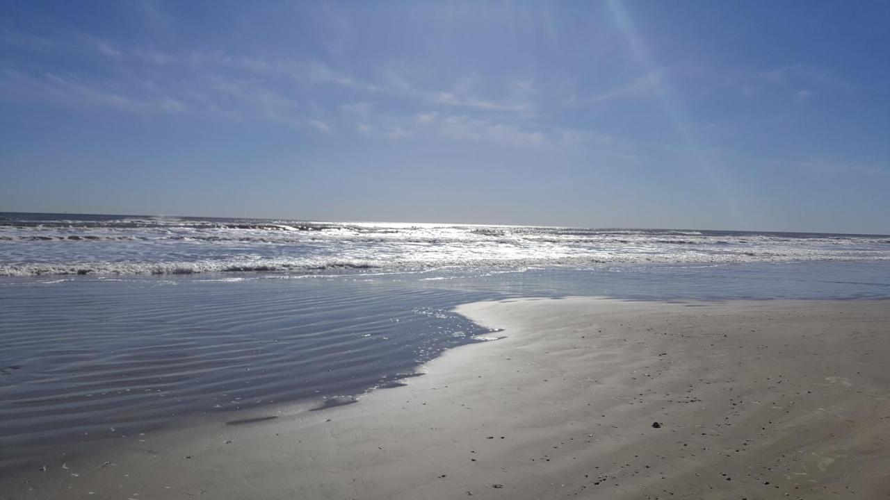 Private Beach -- Away From The Crowds - Ocean Views -Short Drive To Moody Gardens, Schlitter Bahn, Pleasure Pier Galveston Luaran gambar